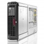 HP BladeSystem D2200sb storage blade (SA P410i RAID with FBWC 1Gb (RAID5/5+0/1+0/1/0)/ up to 12 SFF HP HDDs/1slot in Encl)