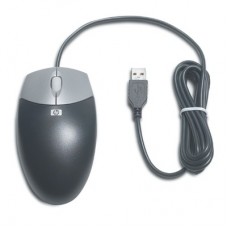 HP USB 2-Button Optical Scroll Mouse  (Carbonite/Silver)